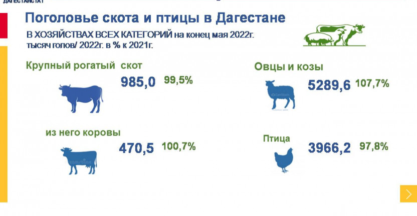 Поголовье скота и птицы